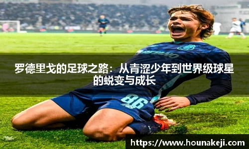 mksport体育